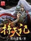 掠天记