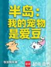 �뵺���ҵĳ����ǰ���