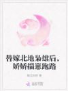 替嫁北地枭雄后,娇娇揣崽跑路