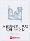 人在美利坚,从底层到一州之长