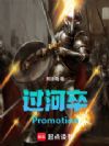 过河卒:Promotion