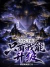NPC宇宙,只有我能升级