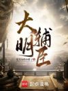 大明辅臣