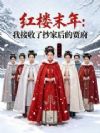 红楼末年:我接收了抄家后的贾府